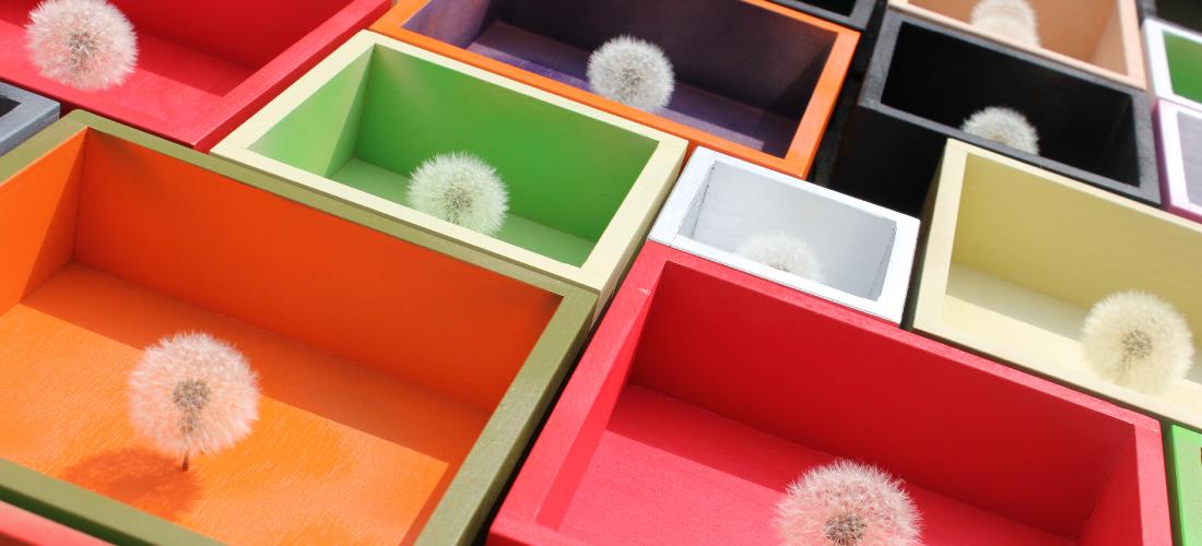 MARMENUNDCAXPusteblumen