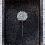 MARMENUNDCAXPusteblumeSchwarz