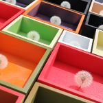 MARMENUNDCAXPusteblumen